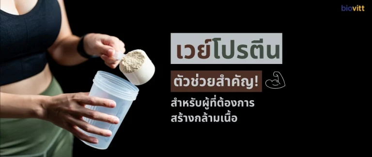 whey-protein-muscle-gain-guide